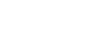 MoneyWisePro