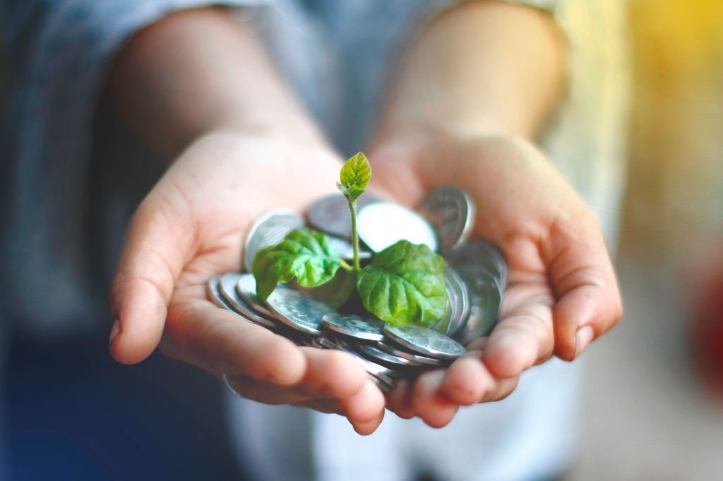 Green leaf next to financial documents symbolizing green investment claims